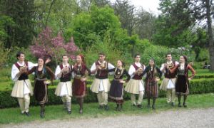 dans armanesc
